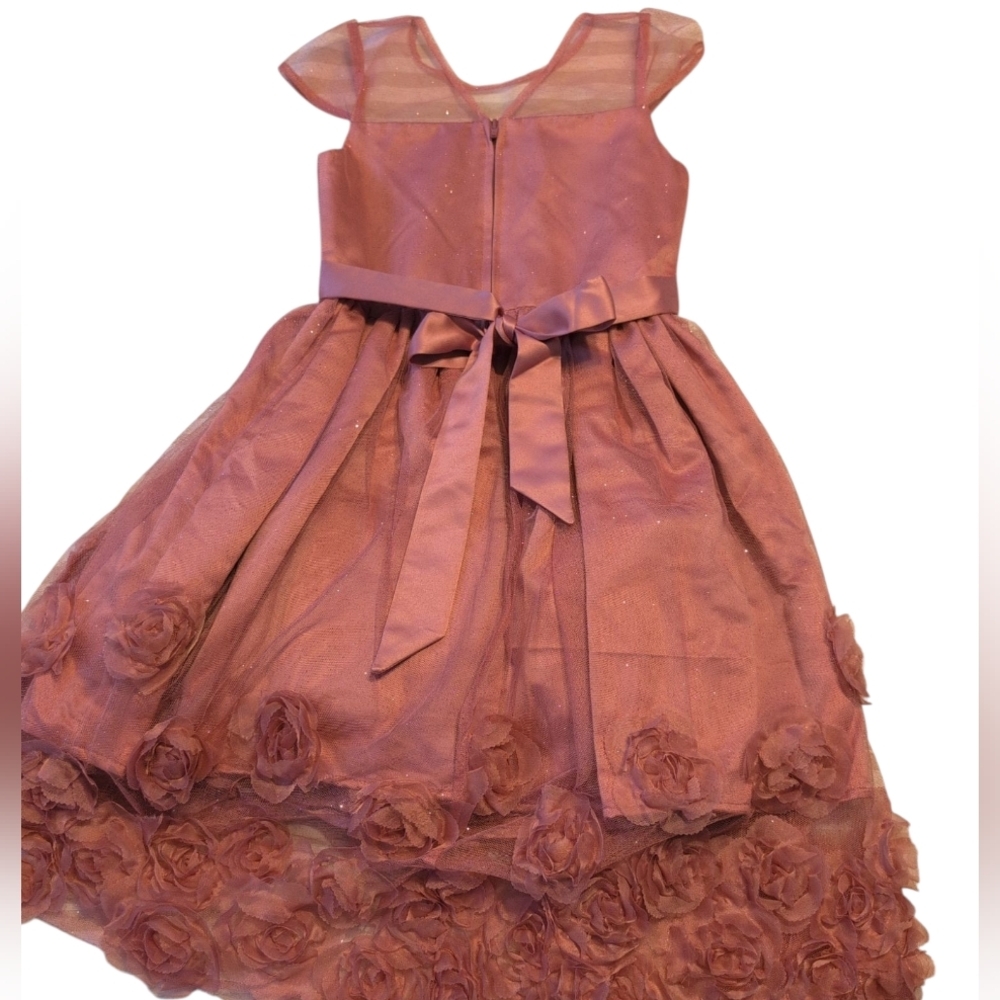 Elegant Rose Dress with Shimmery & Tulle Accents - Picture 4 of 4